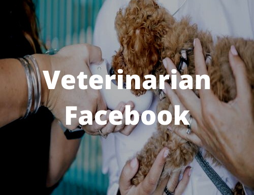Veterinarian Facebook