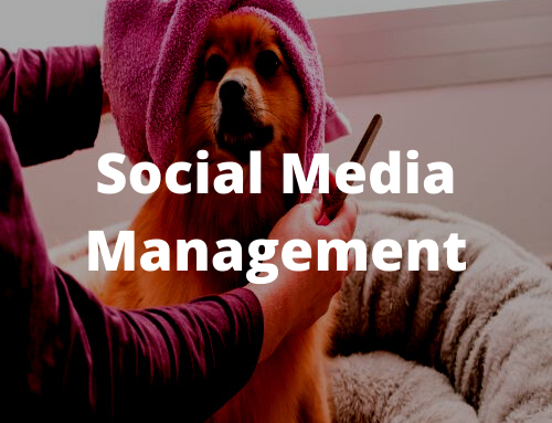 Veterinarian Social Media Management and Strategy