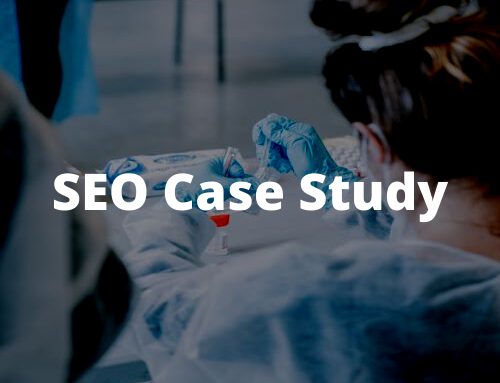 How Veterinarian SEO Increases Traffic and New Patients